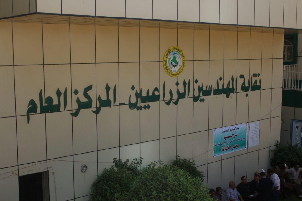 لماذا هزم الإسلاميون في انتخابات المهندسين الزراعيين ؟