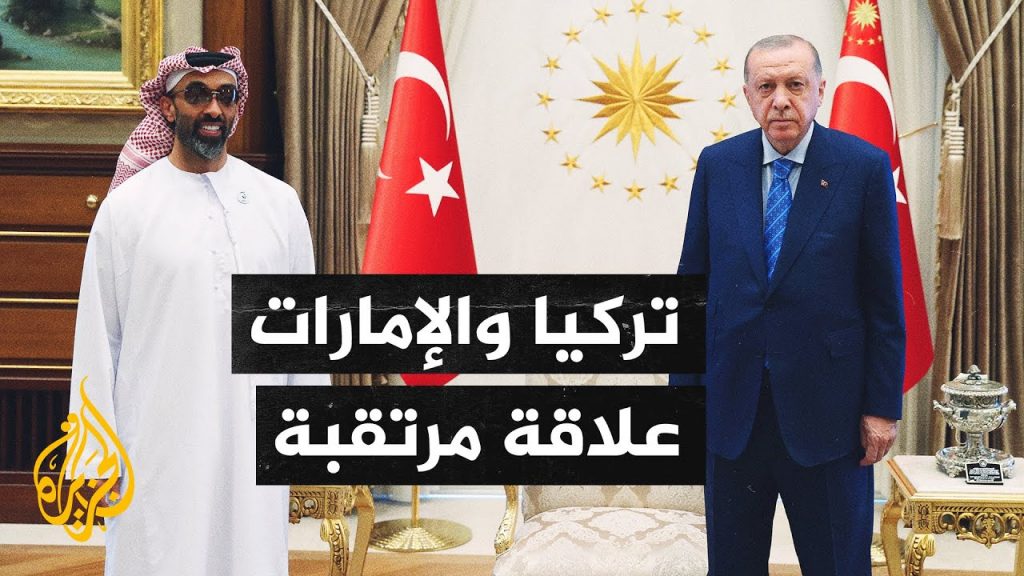 قراءة مصرية لزيارة طحنون بن زايد لتركيا: أفغانستان وإيران